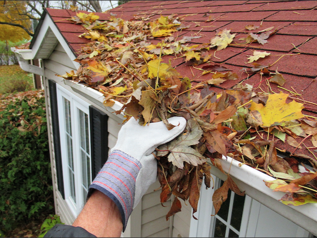 Man wearing glove cleaning fallen leaves out of gutter install on home